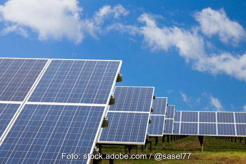 Photovoltaik auf grüner Wiese unter blauem Himmel.